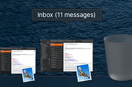 macOS Catalina 10.15.3 | Duplicate Mail Minimised Icons In Dock